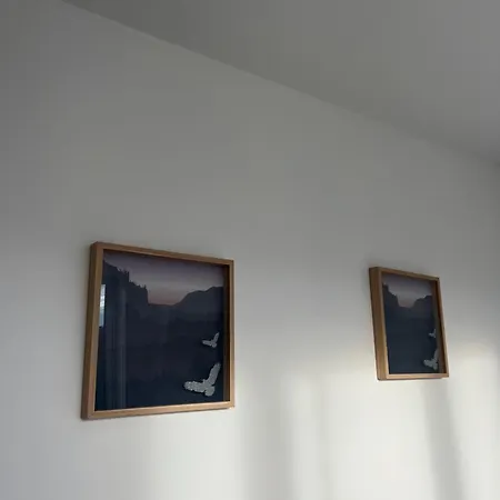 Moderne Et Spacieux 4 * Carbon-Blanc