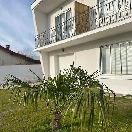Moderne Et Spacieux 4 Carbon-Blanc
