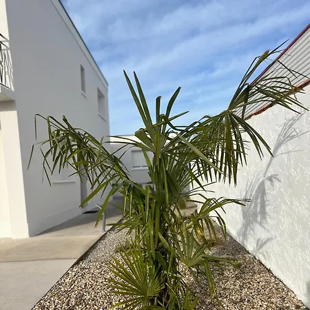 Ekr - Moderne 4 Carbon-Blanc
